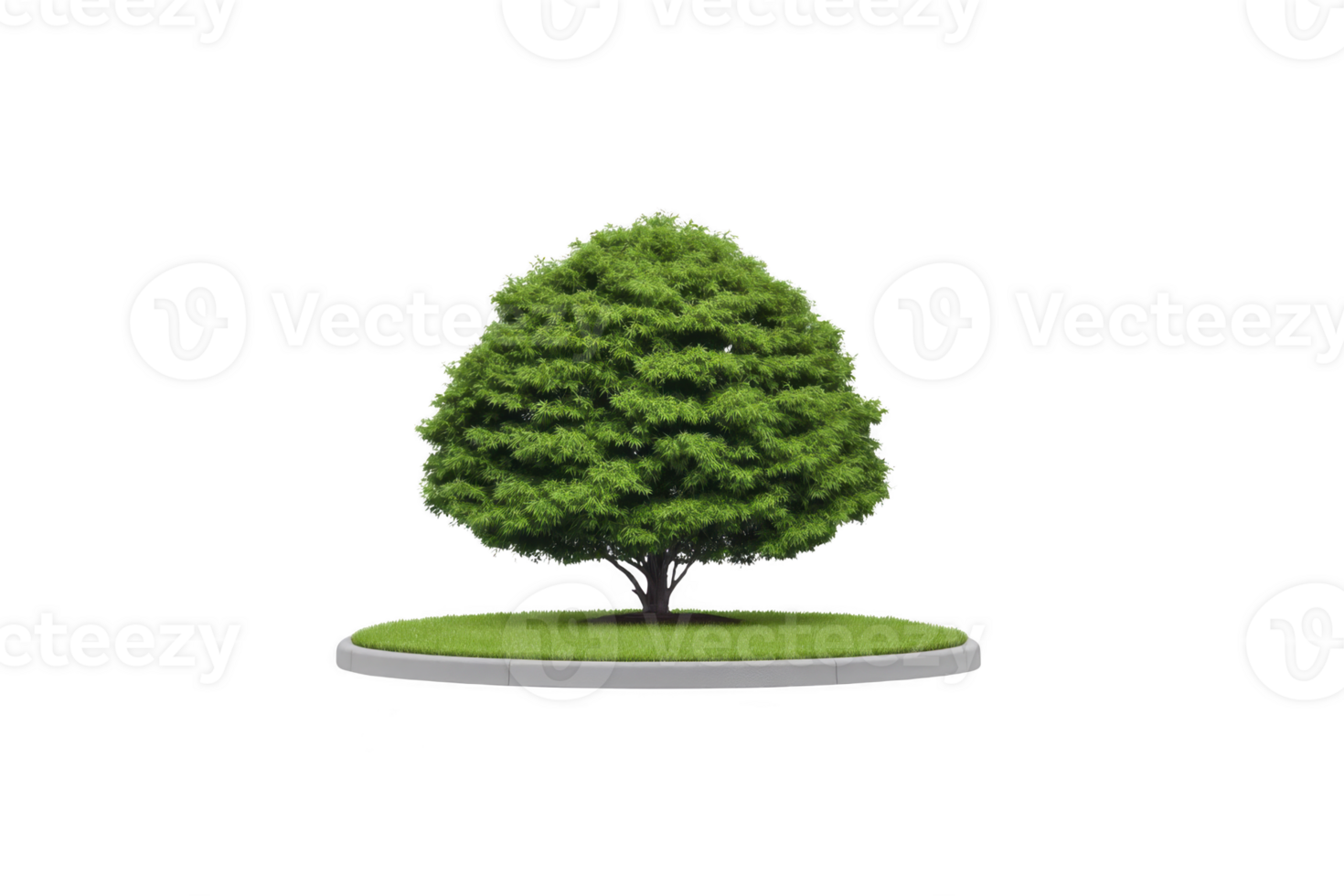 Lush green tree with rounded canopy stands on small circular patch of grass, isolated on transparency background. vibrant foliage creates sense of tranquility and natural beauty png