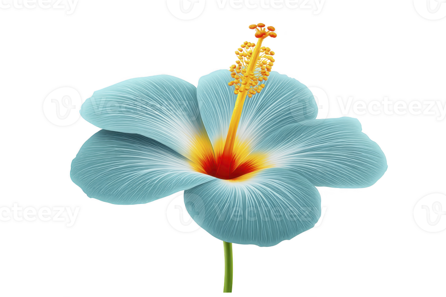 Vibrant blue hibiscus flower with bright yellow and red center, showcasing delicate petals and prominent stamen. flower is isolated on transparency background png