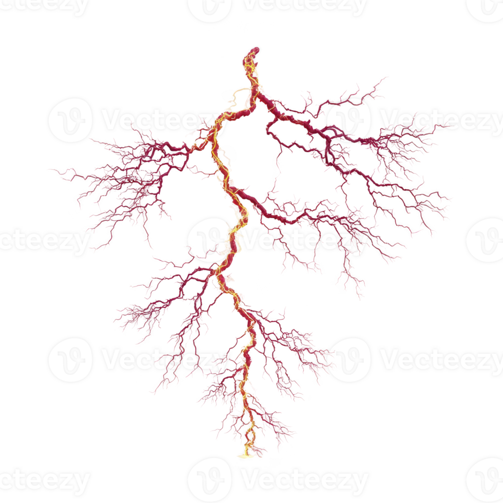 This features vibrant, abstract depiction of branching structure resembling lightning bolt or neural network, with intricate red and yellow lines against transparency background. design is dynamic png