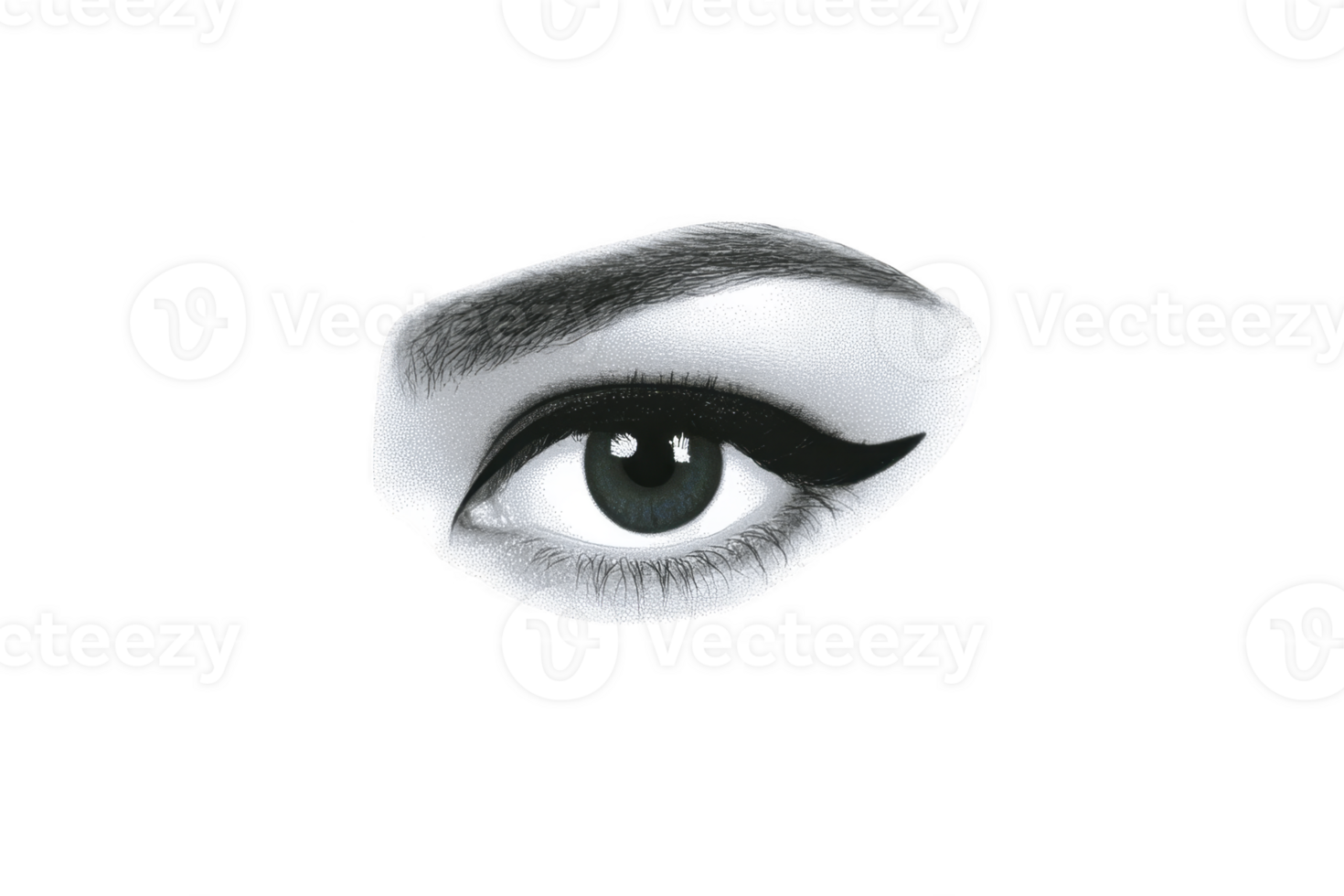 Detailed black and white illustration of human eye with bold eyeliner and well defined eyebrow, conveying sense of mystery and elegance png