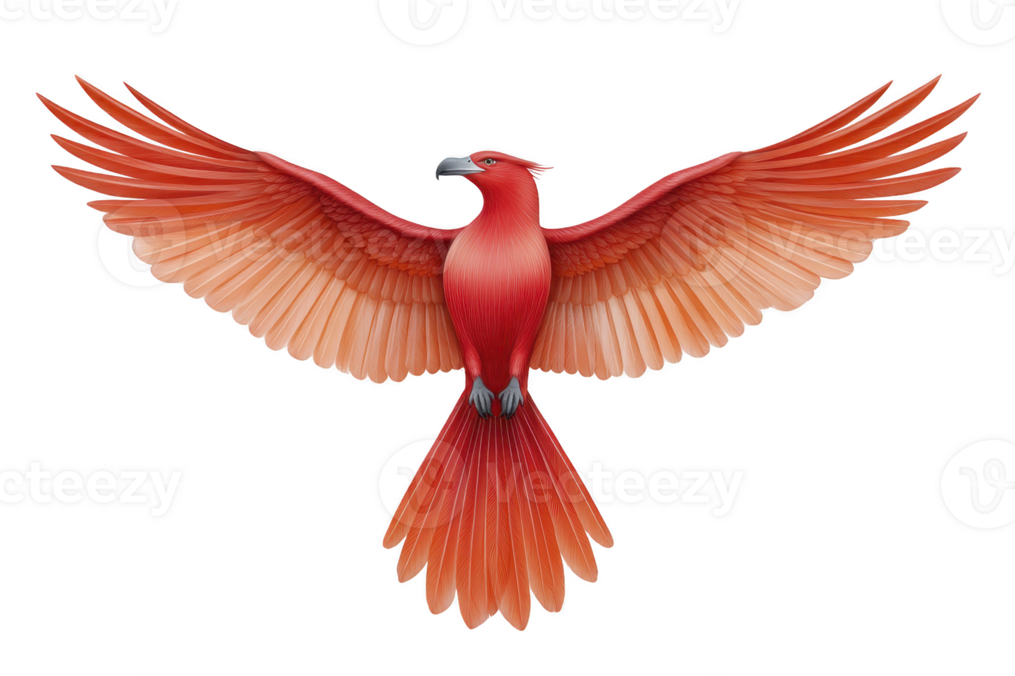 Vibrant red bird with outstretched wings, showcasing detailed feathers and dynamic pose, evokes sense of freedom and grace. illustration highlights bird elegance and strength png
