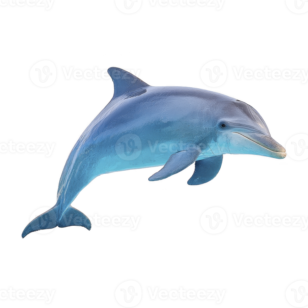 Playful dolphin swimming gracefully in ocean, showcasing its sleek body and smooth skin. dolphin joyful expression and dynamic pose capture essence of marine life png