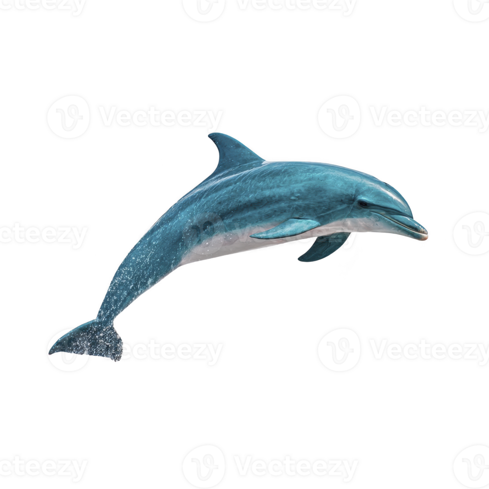 Graceful dolphin leaps through air, showcasing its sleek body and playful nature against clear background. dolphin smooth skin glistens, highlighting its agility and intelligence png