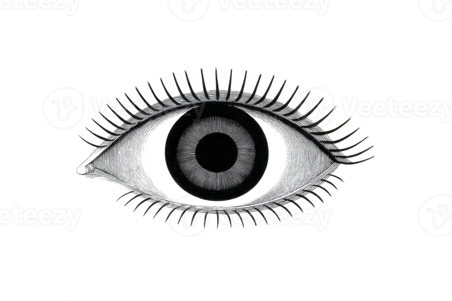 Detailed black and white illustration of human eye with intricate line work and shading, showcasing iris and eyelashes. design is artistic and abstract, emphasizing texture and form png