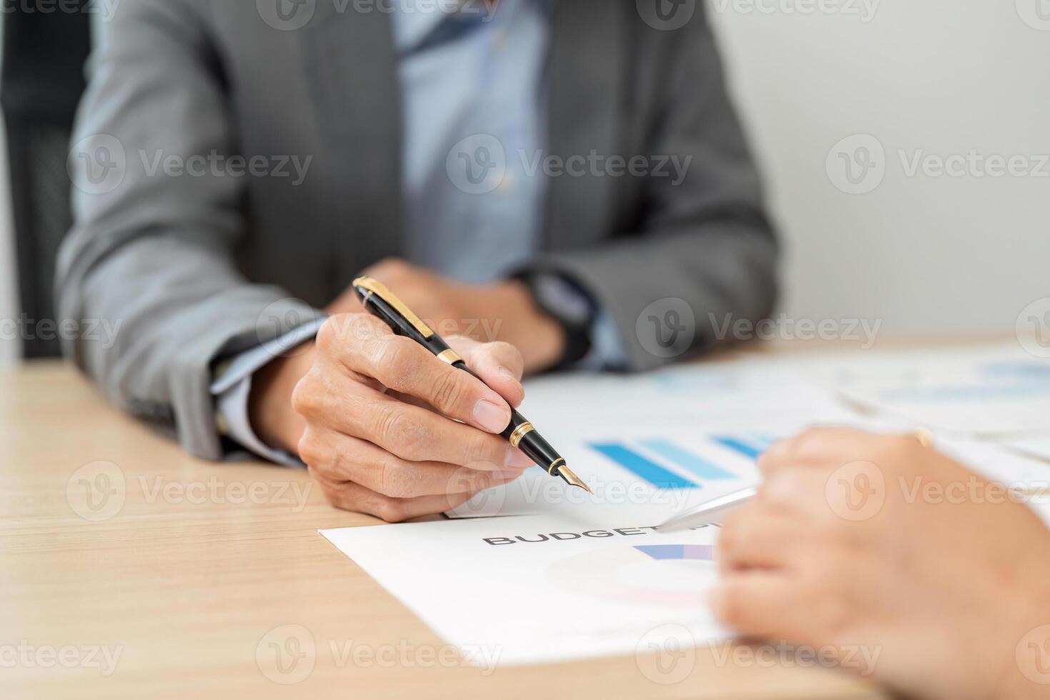 Financial Review. Business professional discussing budget plans with a colleague. photo