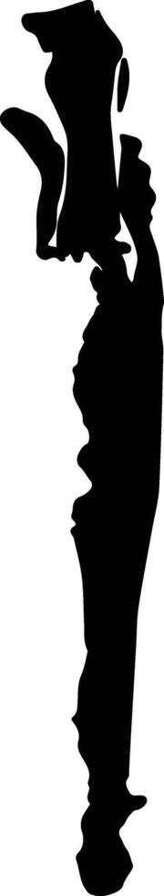 La Tola Colombia silhouette map vector