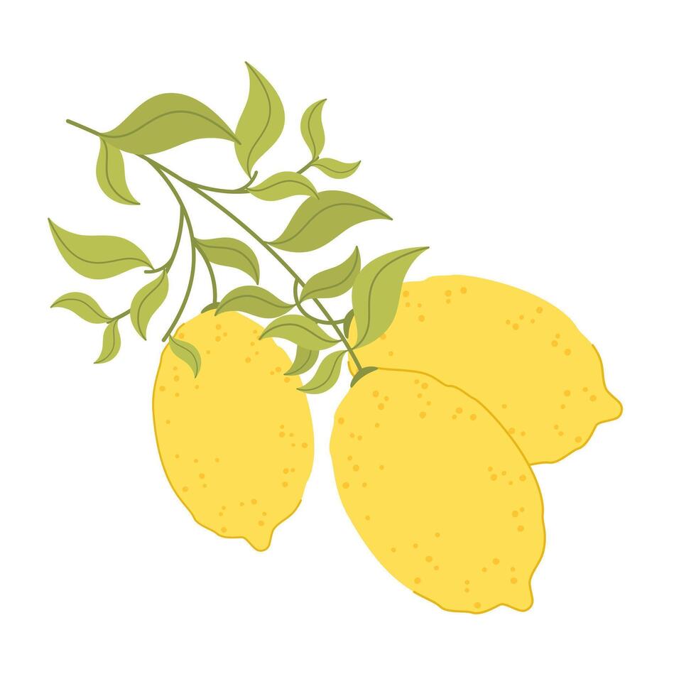Three ripe lemons on a branch. Citrus icon. Illustration in flat style on white background. vector