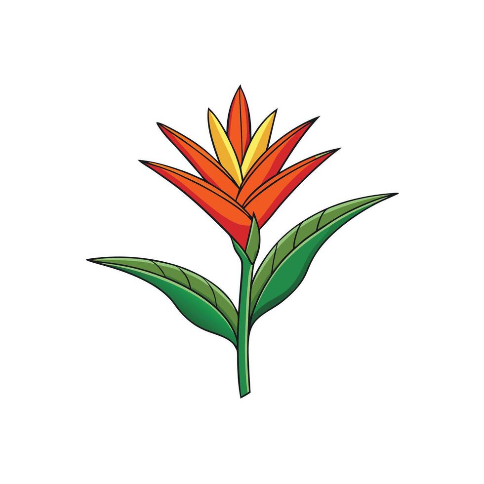 Vibrant Heliconia Flower Illustration with Bold Outlines and Details vector