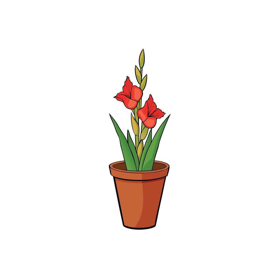 Illustration of potted gladiolus flower with red blooms vector