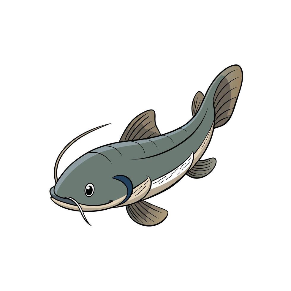 Cartoon catfish illustration with whiskers in a simple style vector