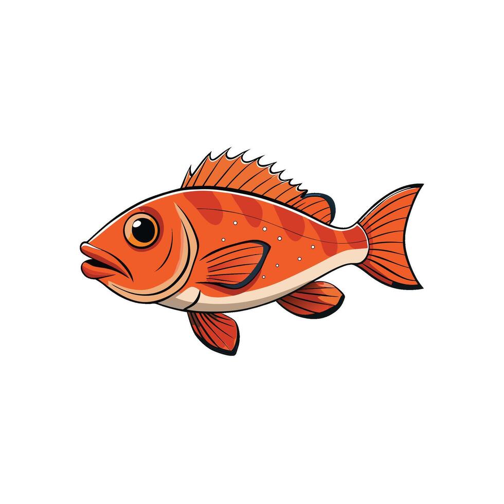 Cartoon orange rockfish illustration with defined black outlines vector