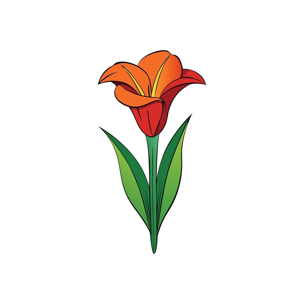 Elegant orange lily illustration with green leaves and stem vector