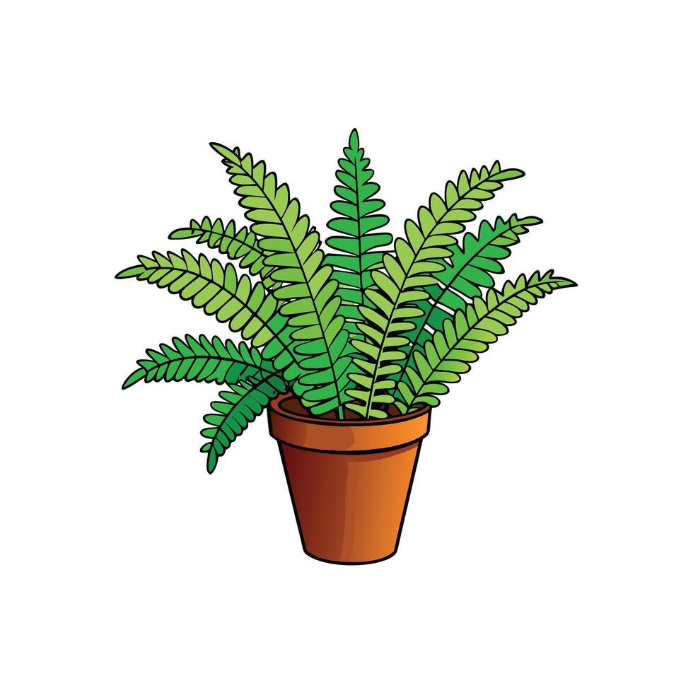 Vibrant fern plant in terracotta pot on white background vector