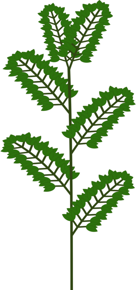 Beautiful shape and deep green colors tone of fresh plant stem and stalk. png