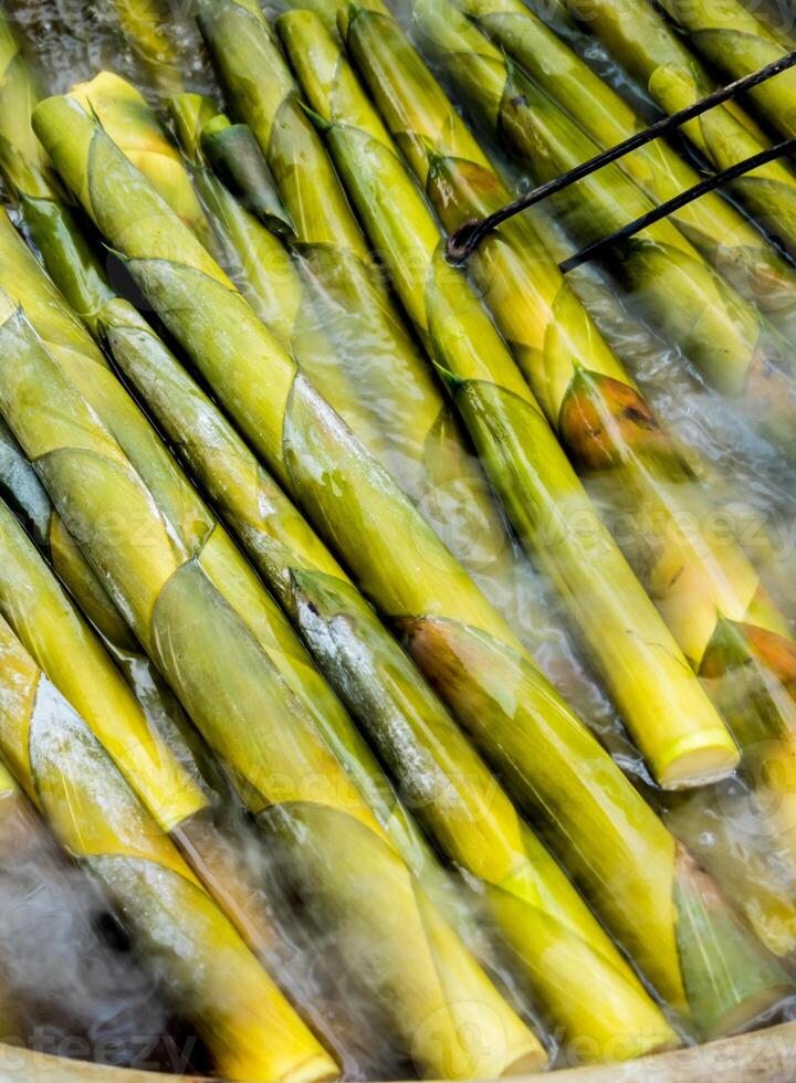 The Bamboo shoot boil in hot water photo