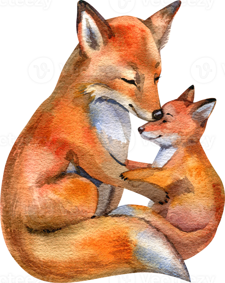 Foxes. Mum with a child. Fox mum and baby. Watercolor. Template. Clipart. Mothers Day. png