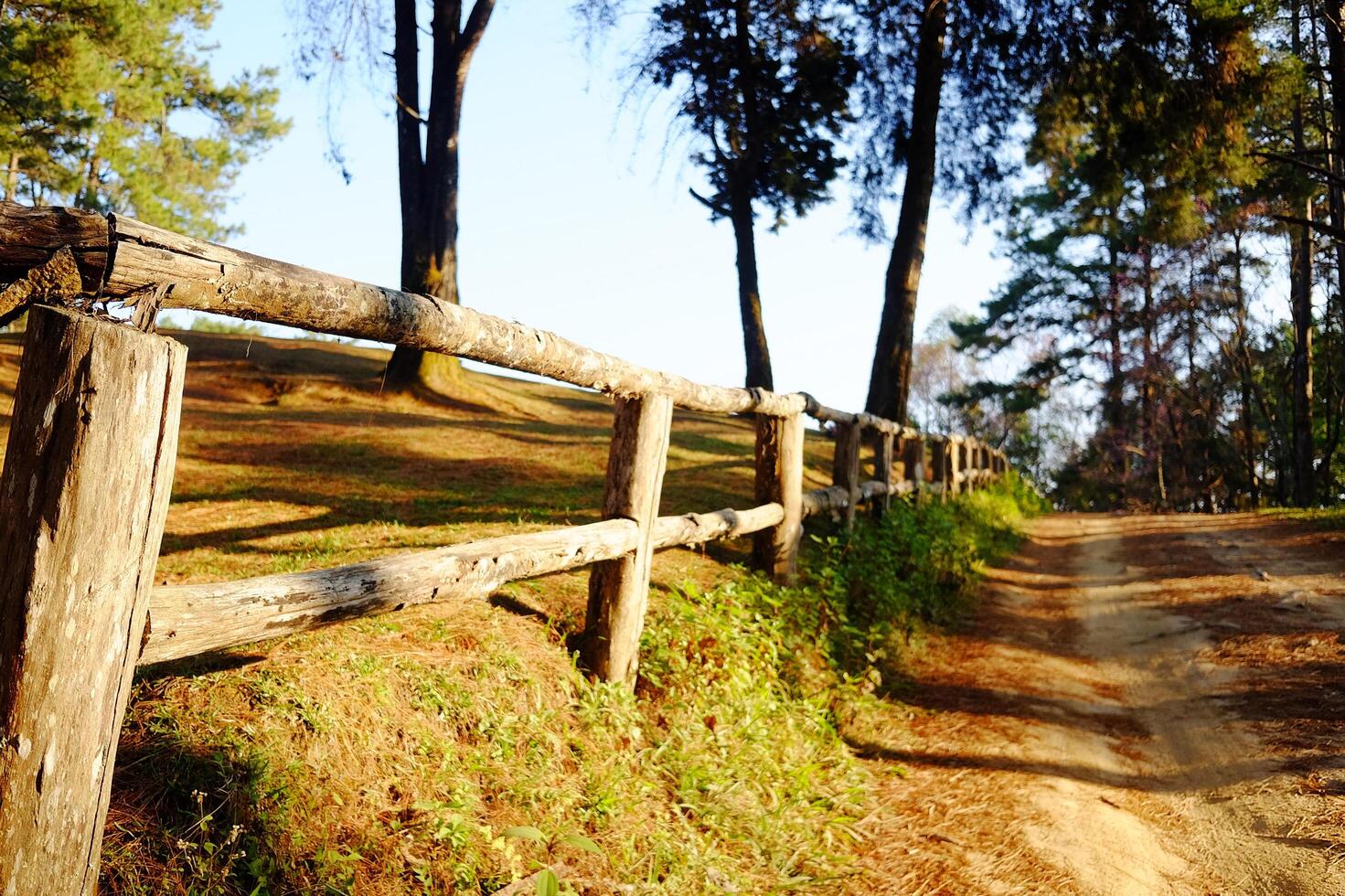 Wooden fence and walking route dirty path on the mountain with blue sky in natural sunlight in Thailand photo
