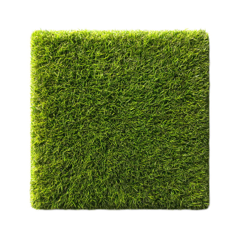 An overhead close up view of a neatly manicured lush green lawn with a uniform carpet like texture and a clean geometric appearance png