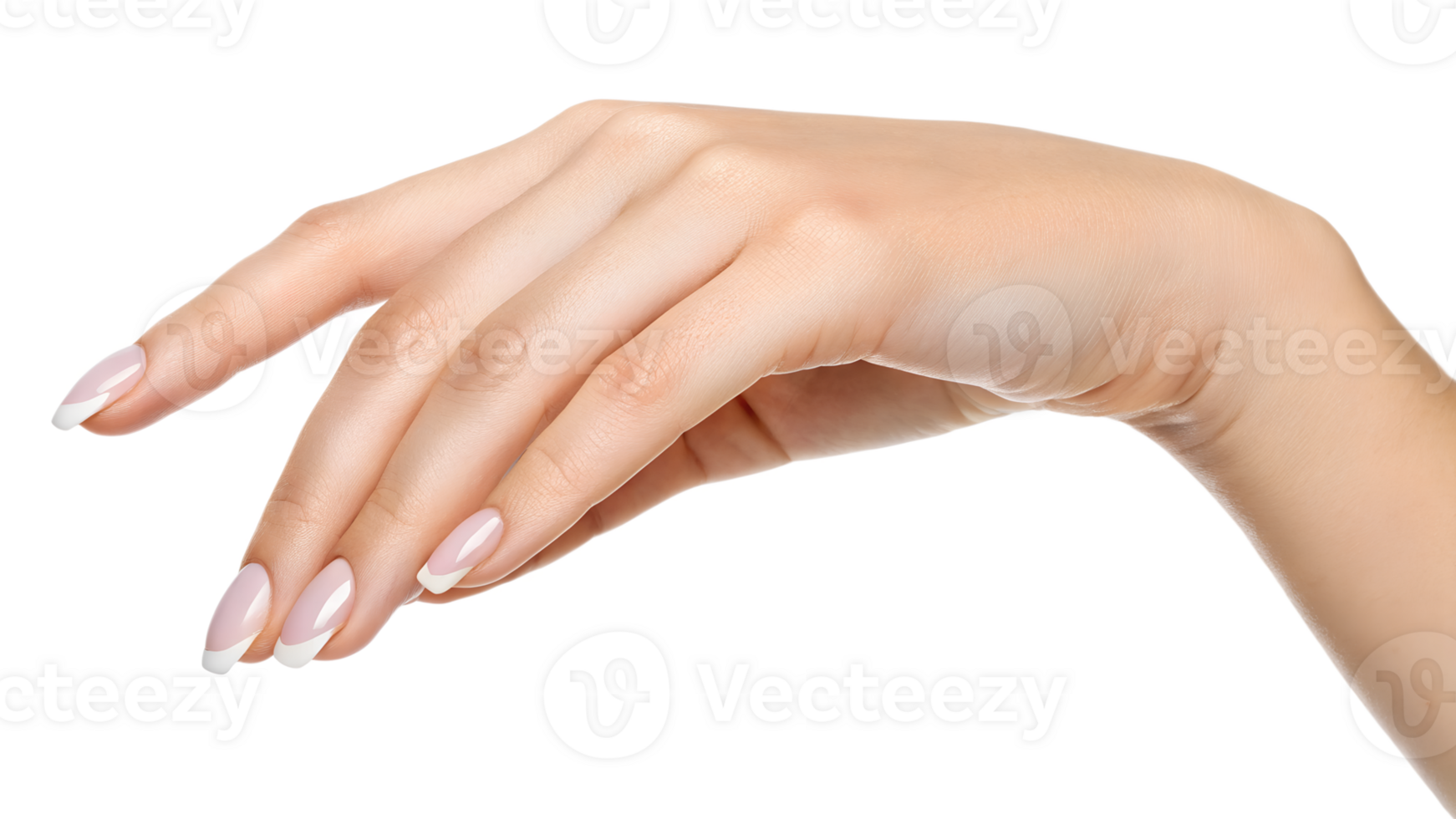 Elegant Hand with French Manicure with No Background png