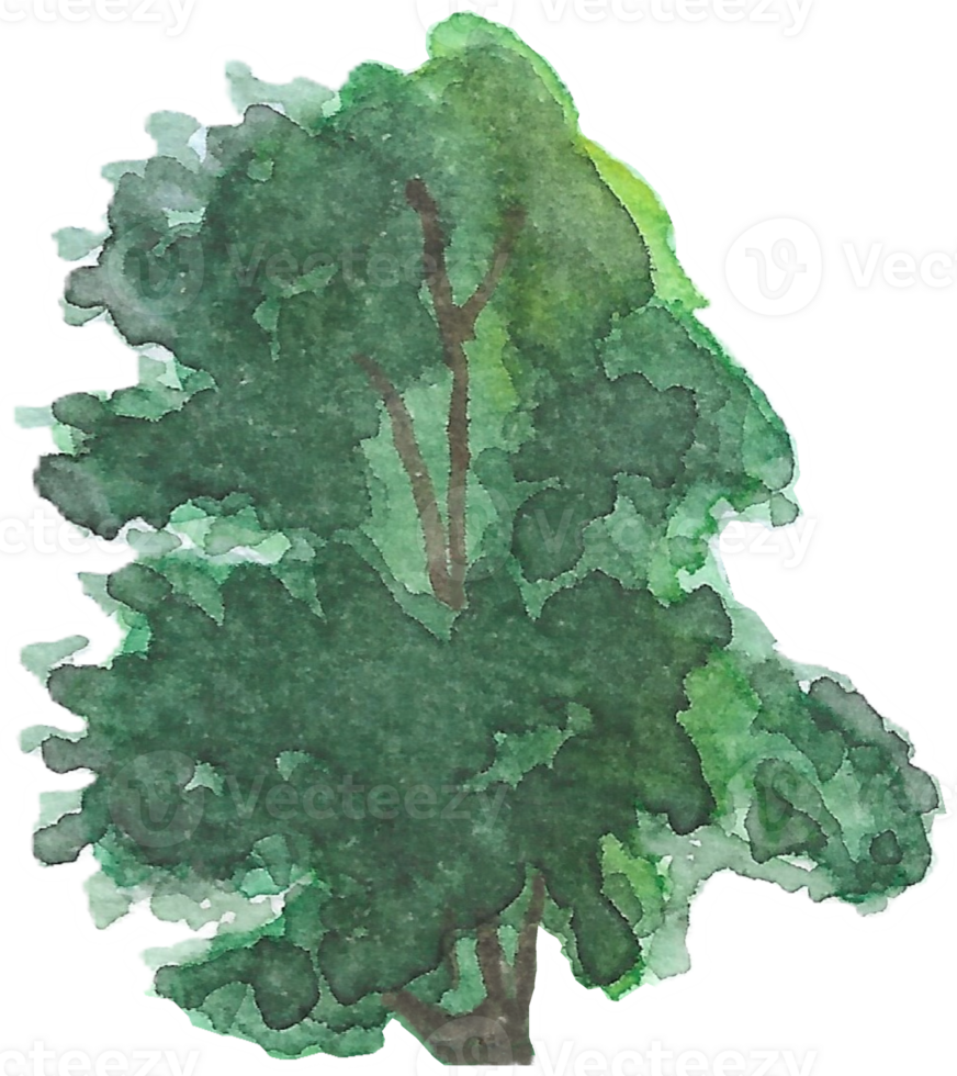 Tree with random branches is painted by hands with watercolor in real fine art style png