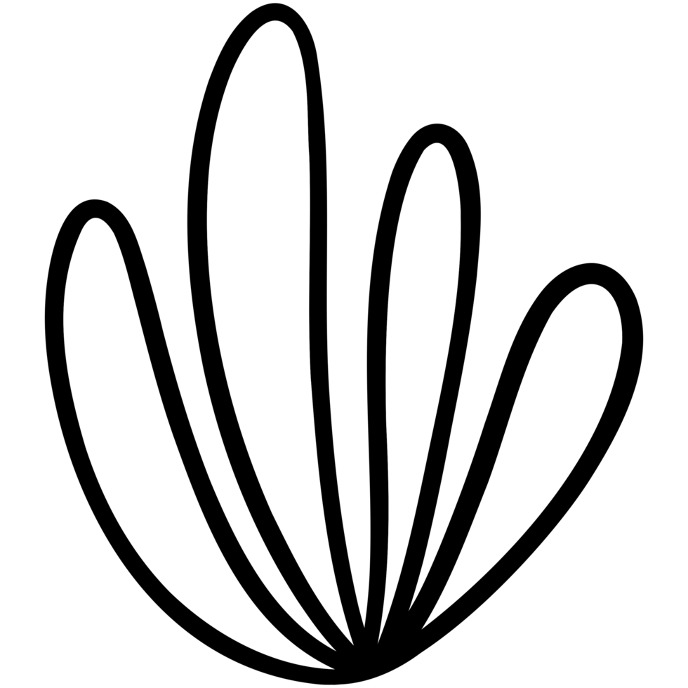 Four leaves plant png