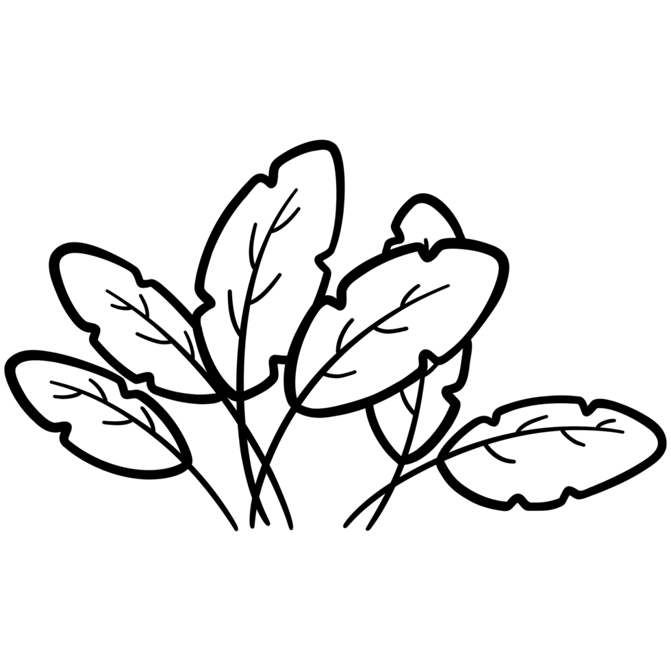 Six tropical leaf doodles png