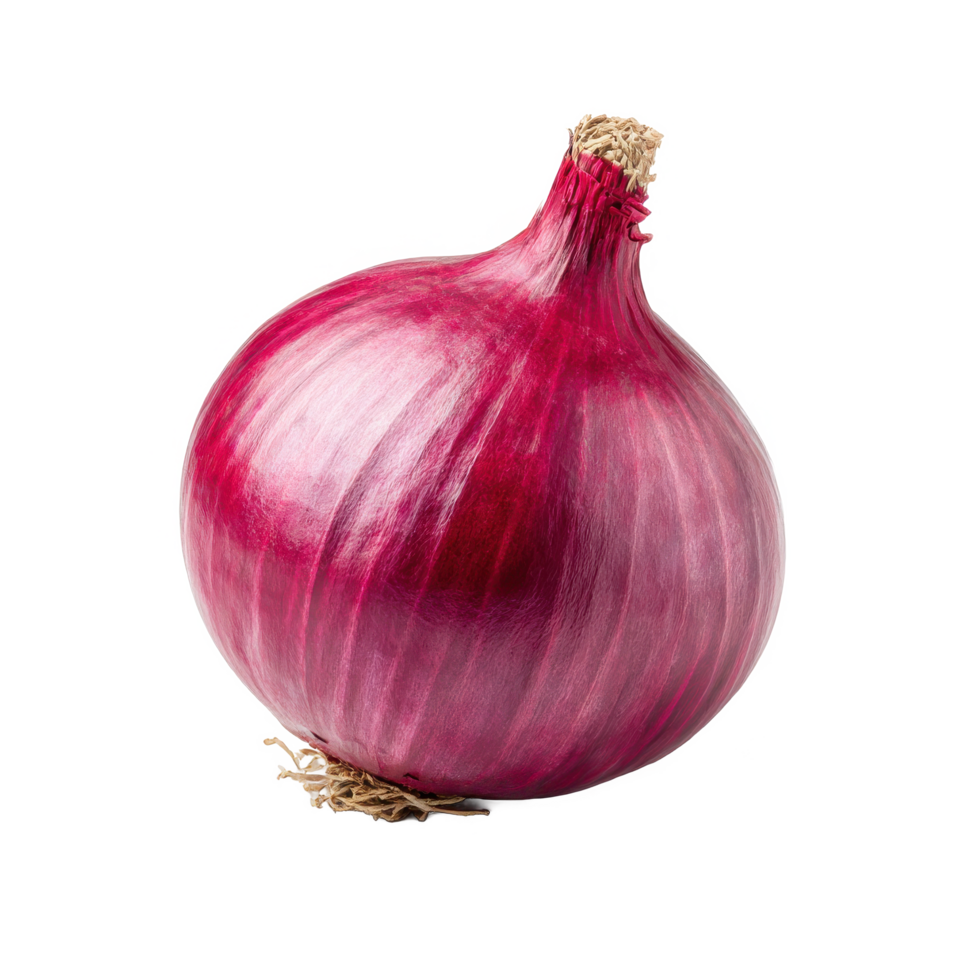 Isolated red onion bulb close up for cooking and healthy eating diet on transparent background png