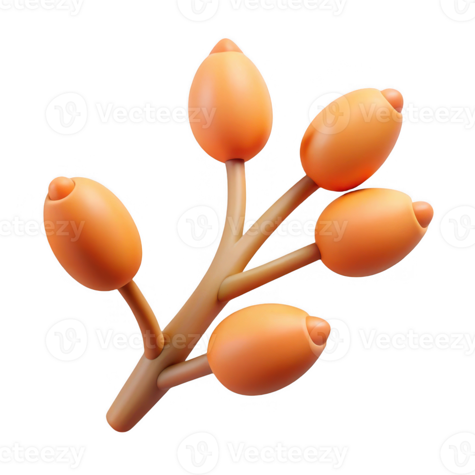 Orange berries on branch clipart isolated on transparent background png