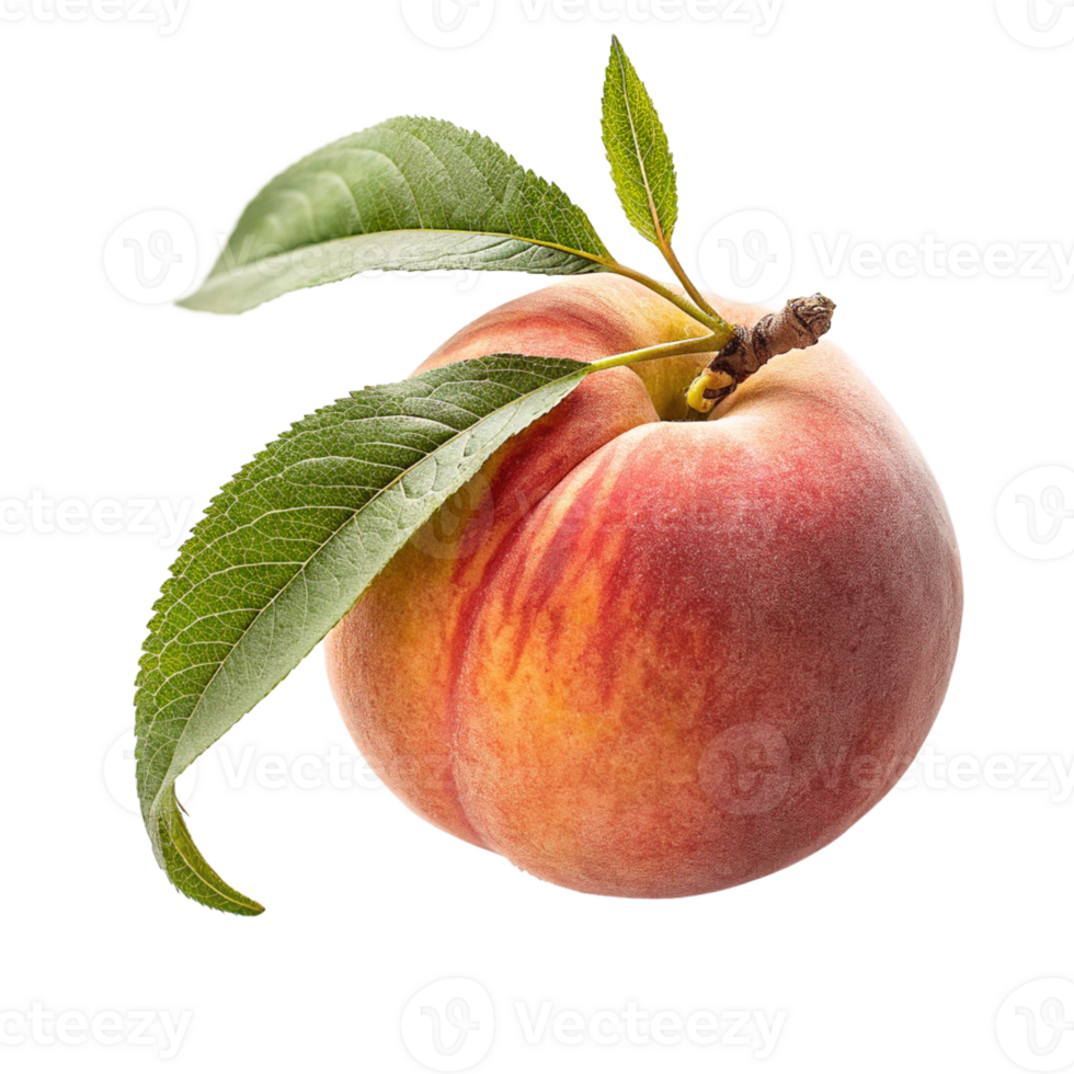 Single ripe peach with leaves png