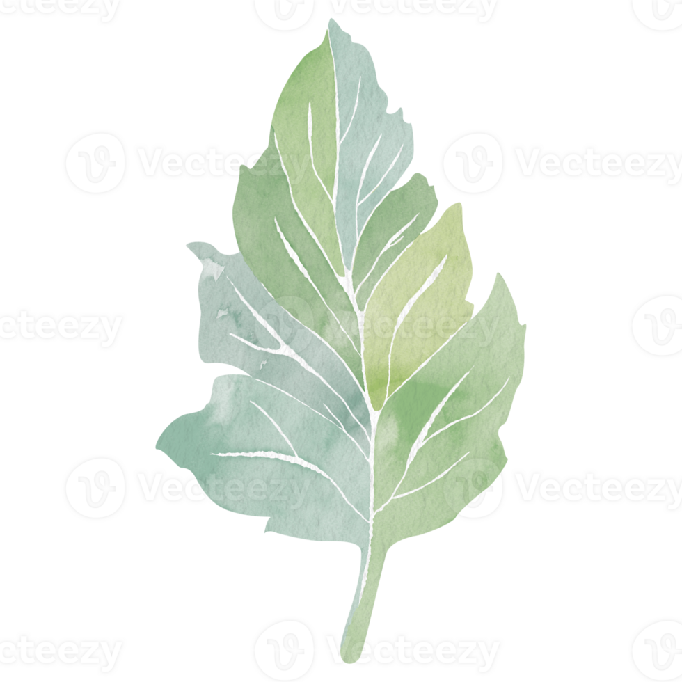 Watercolor stylized illustration of a green tree leaf, without background. Abstract clipart for creating interior design, tableware prints, magazine covers, or grocery packages. Element for web design png