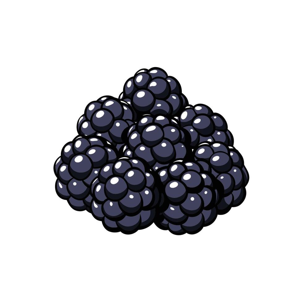Heap of stylized blackberries with bold outlines against white background vector