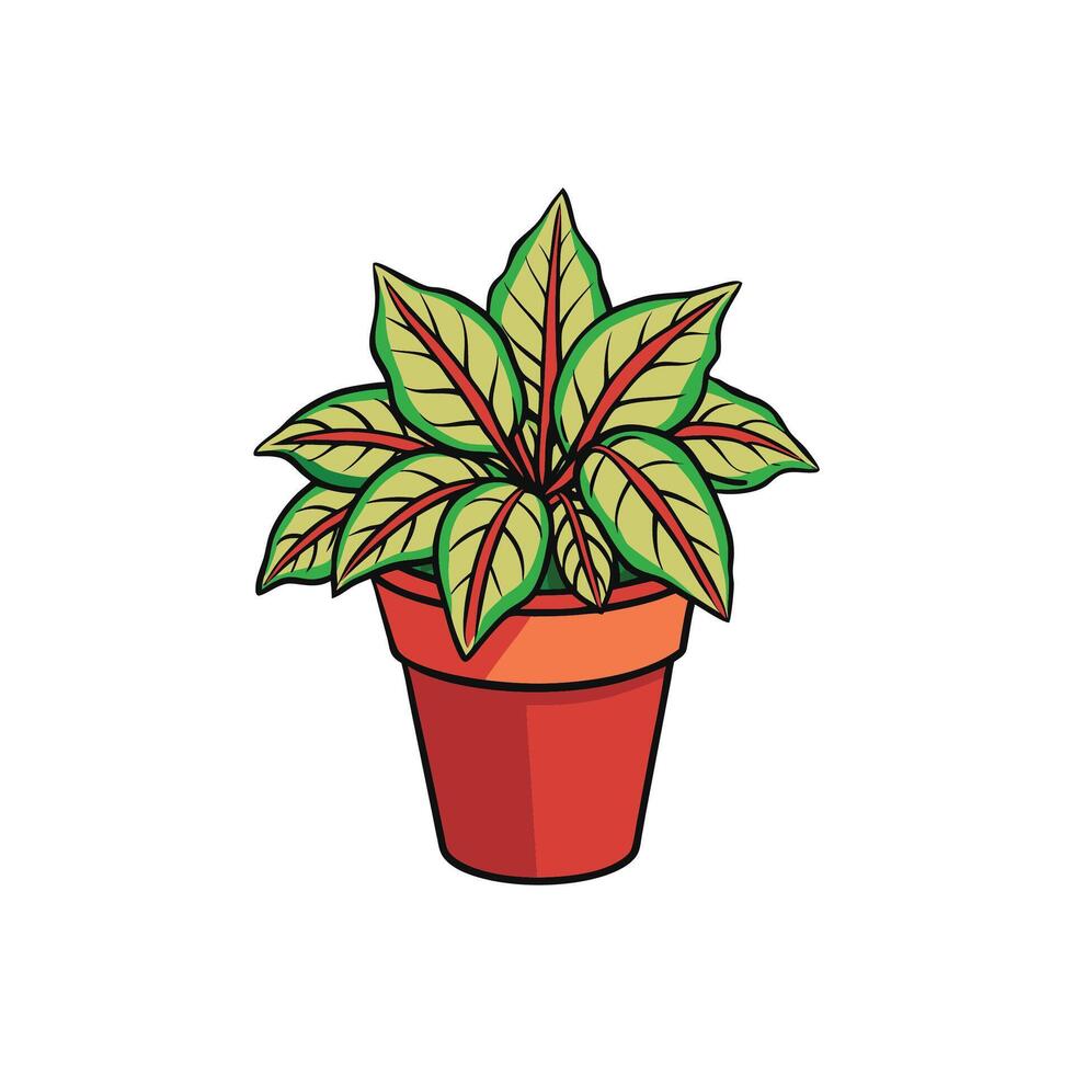 Cartoon Calathea plant in pot with red veins vector