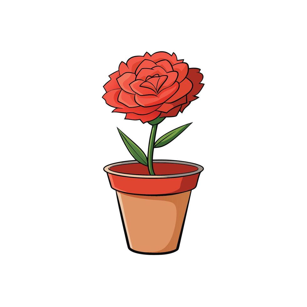 Red carnation in a pot isolated on white background vector
