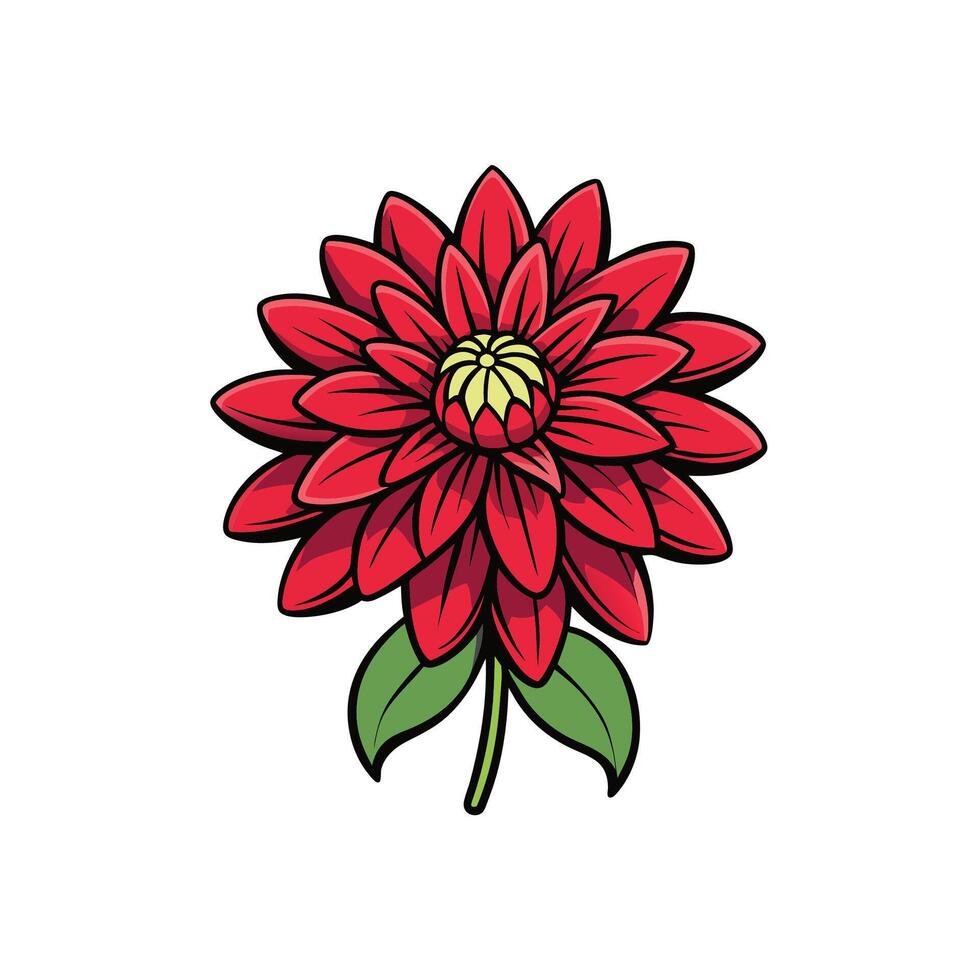 Isolated red dahlia flower illustration on a white background vector