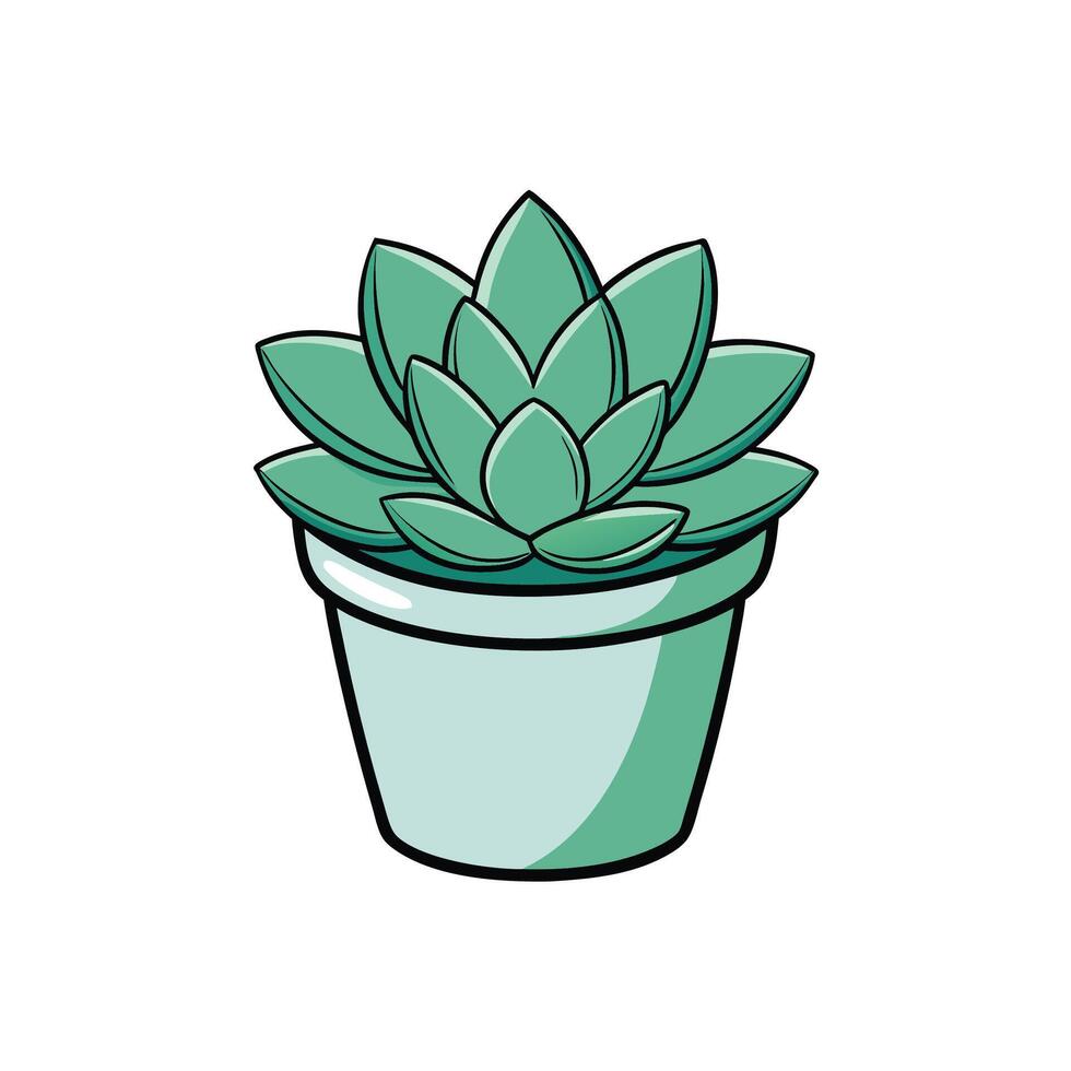 Stylized echeveria succulent in pot with thick black outlines vector