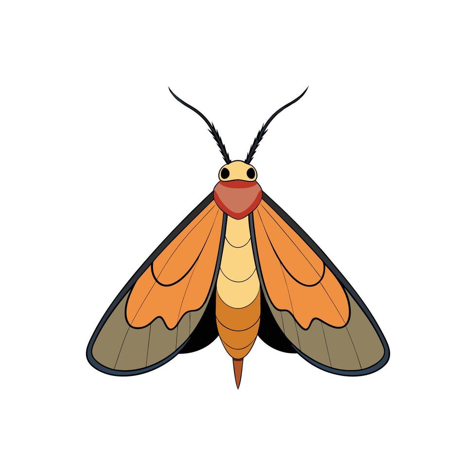 Graphic Illustration of a Colorful Moth on White Background vector