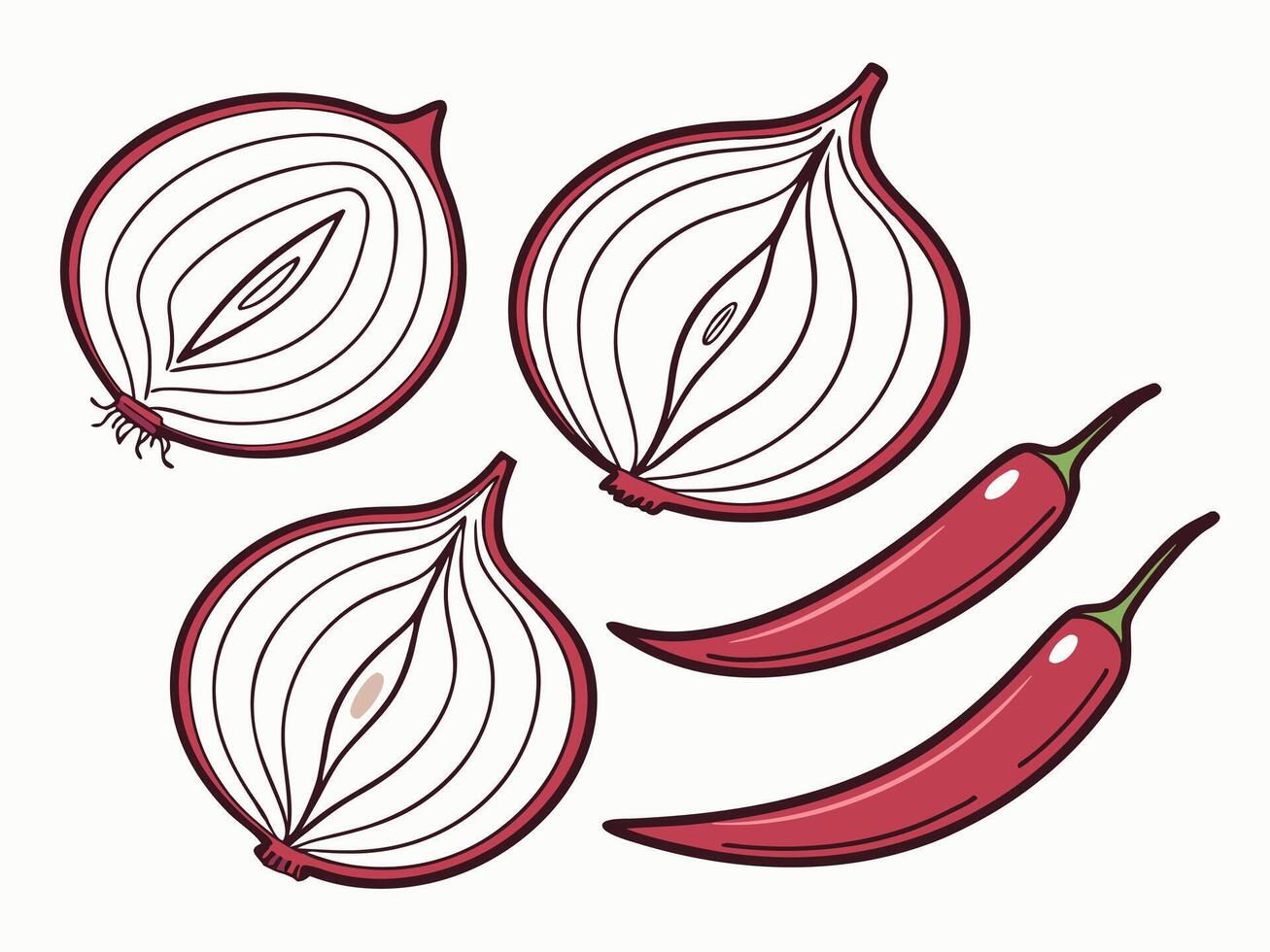 Hand drawn illustration of red onions cut in half with vibrant red chili peppers on white vector
