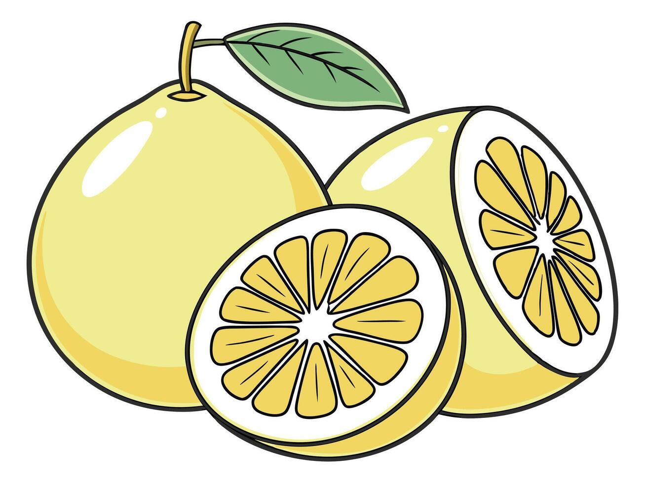 Brightly colored illustration of pomelo fruit whole and sectioned on a white background vector