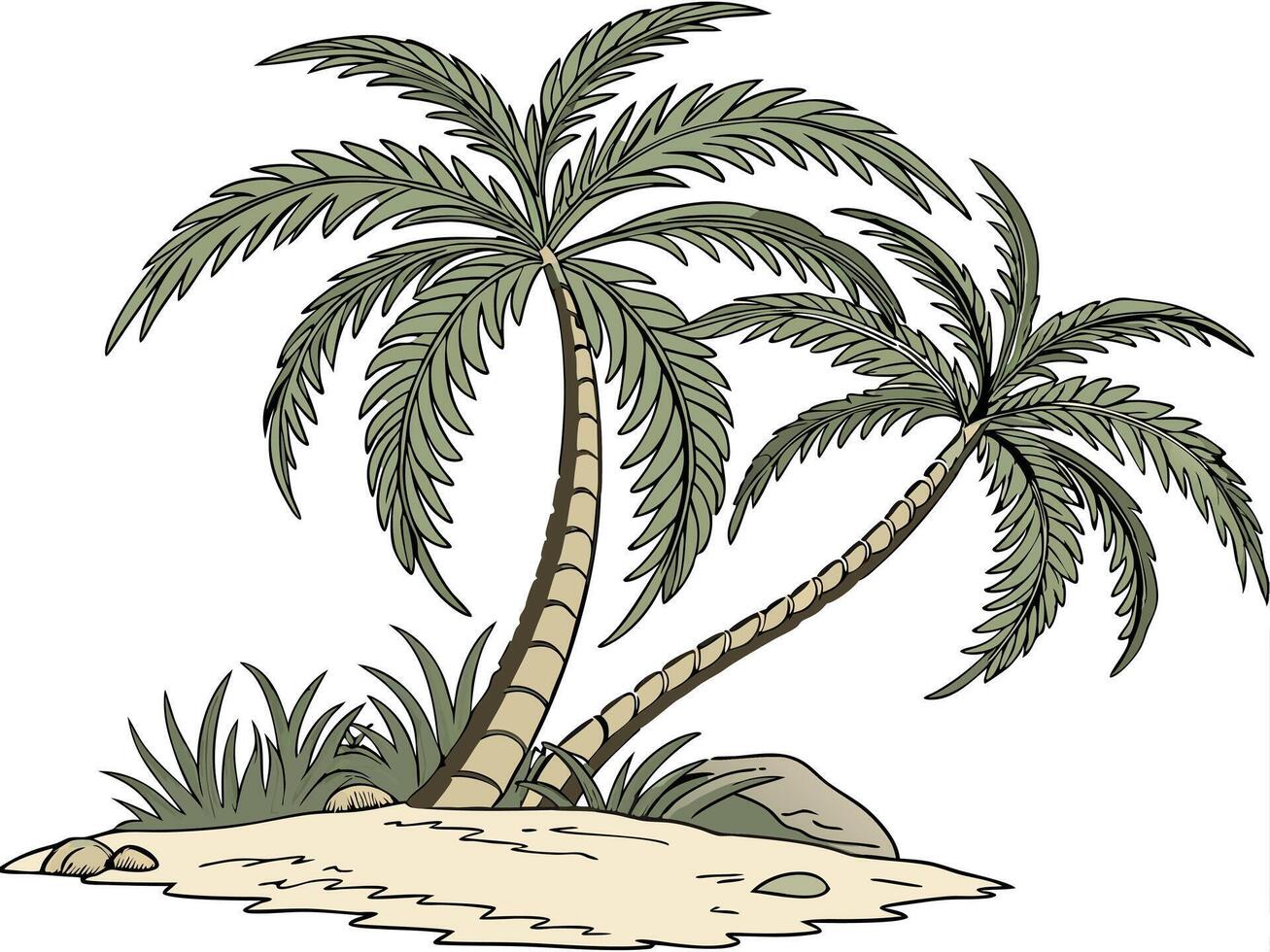 Two palm trees with tropical leaves growing on sand and grass in cartoon style vector