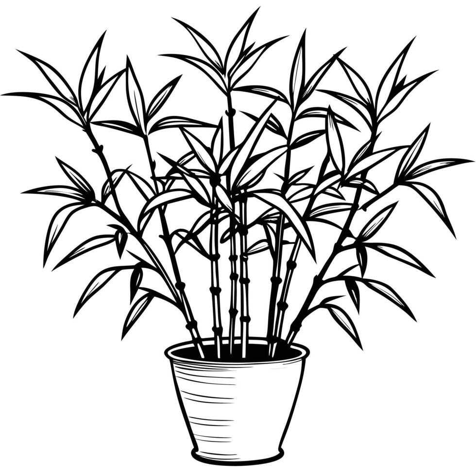 Elegant black and white illustration of a bamboo plant in a decorative pot vector