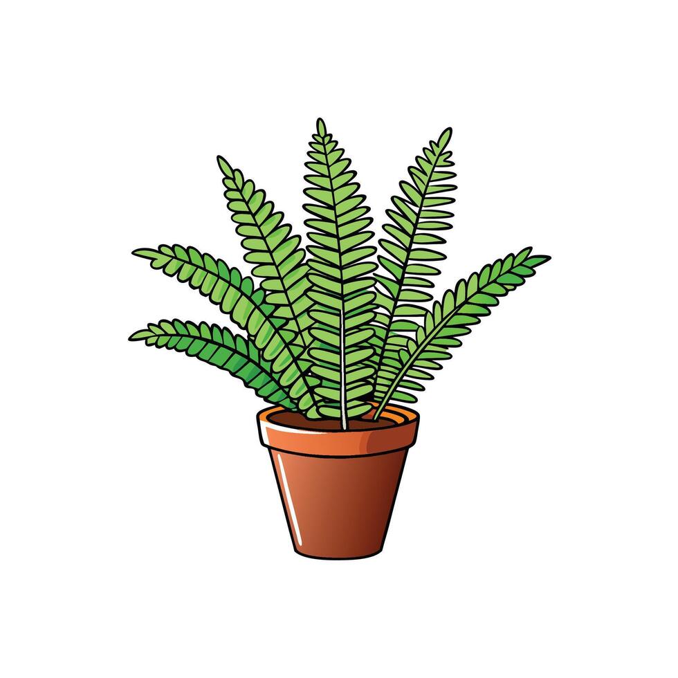 Cartoon style fern in pot houseplant isolated on white vector