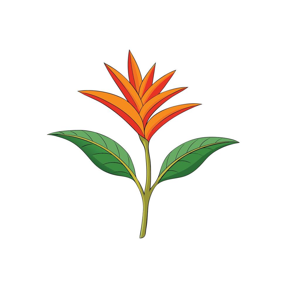 Bold Heliconia flower illustration with vibrant petals and leaves vector