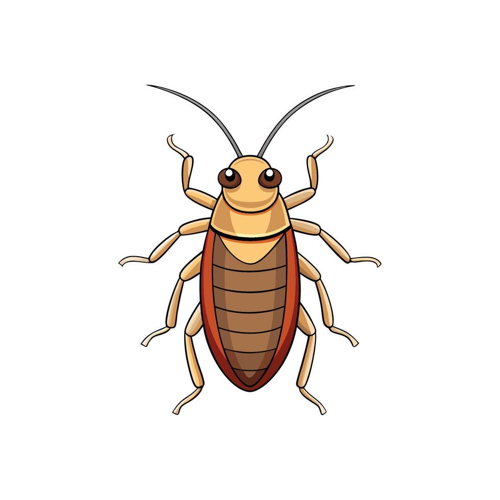 Illustration of cockroach with six legs and antennae vector