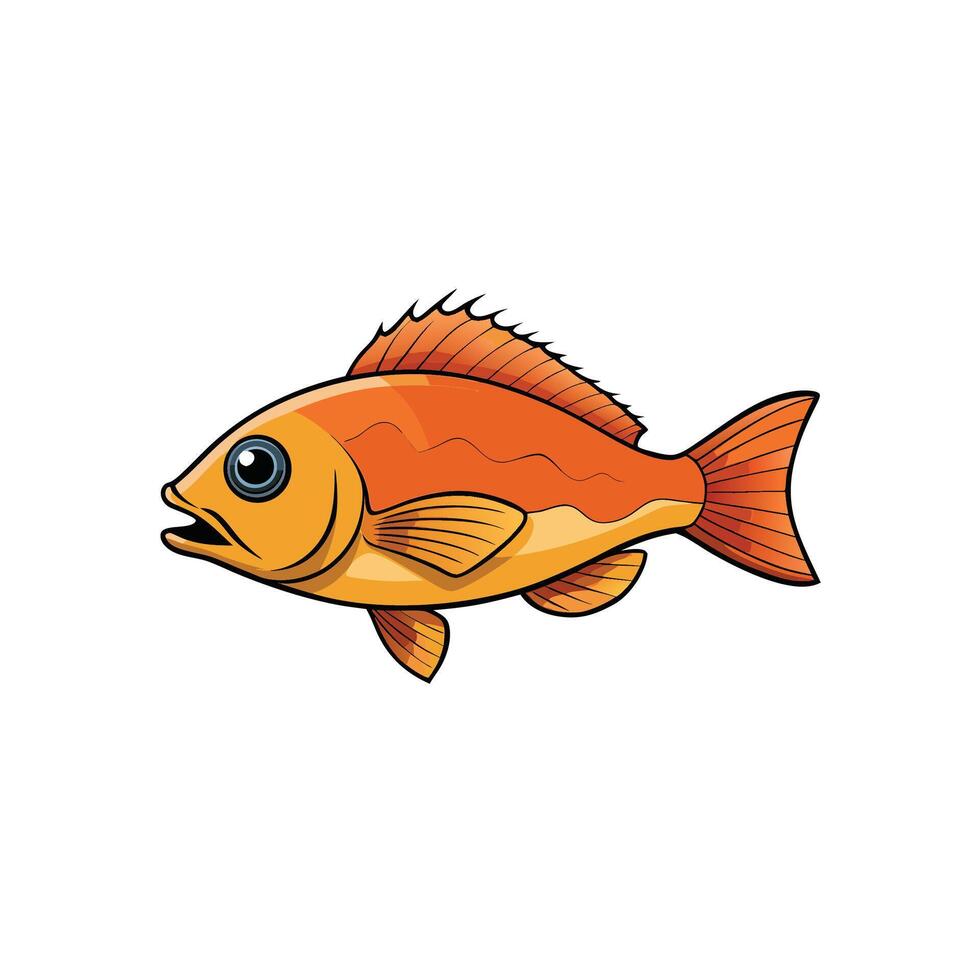 Cartoon illustration of a bright orange goldfish on white vector