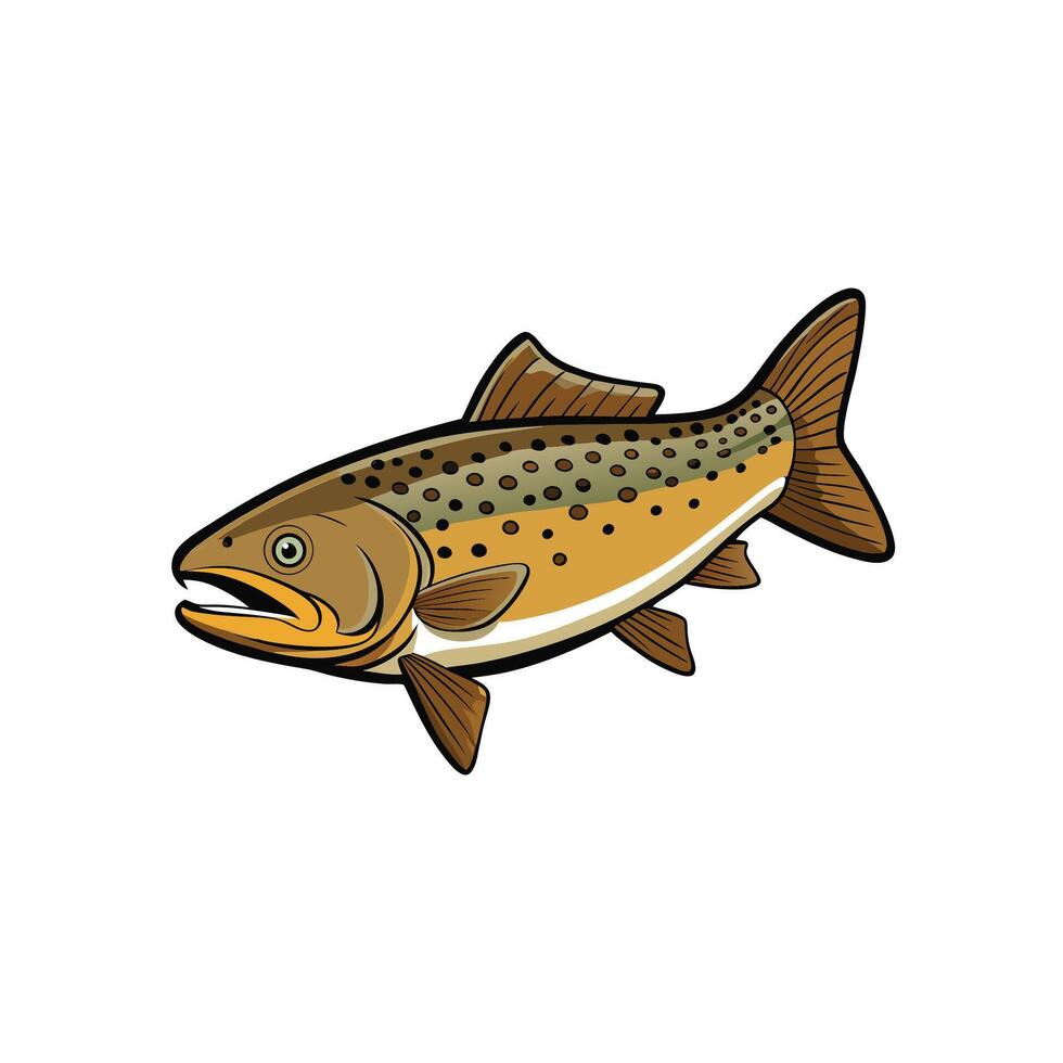 Illustrated brown trout swimming isolated on a white background vector