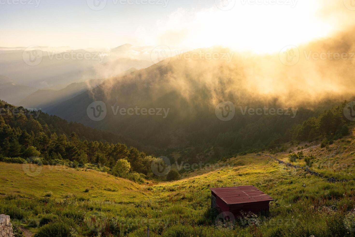 Landscape of the forest covered mountain range and valley with mist at sunset photo