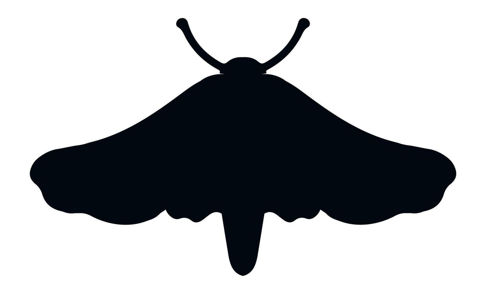 Simple black and white illustration of a butterfly with spread wings, curved antennae, and a distinct body shape, creating a striking visual against a clean white backdrop vector