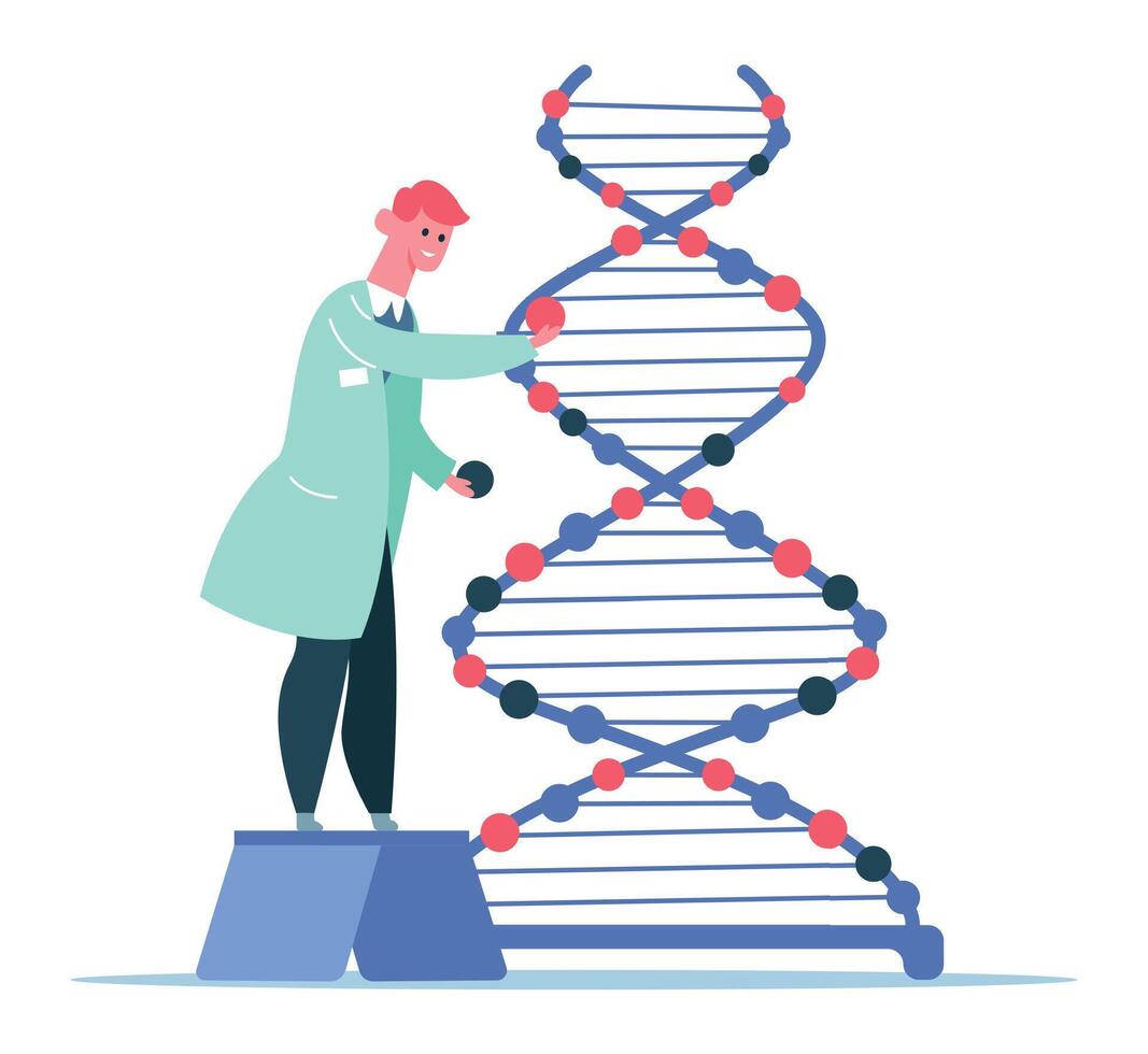 Scientist standing on a small platform building a large DNA model, adding nitrogenous bases, genetic engineering and gene manipulation concept vector