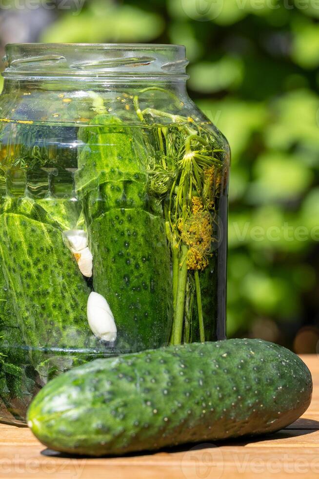 Pickling Jar With Cucumbers And Dill photo