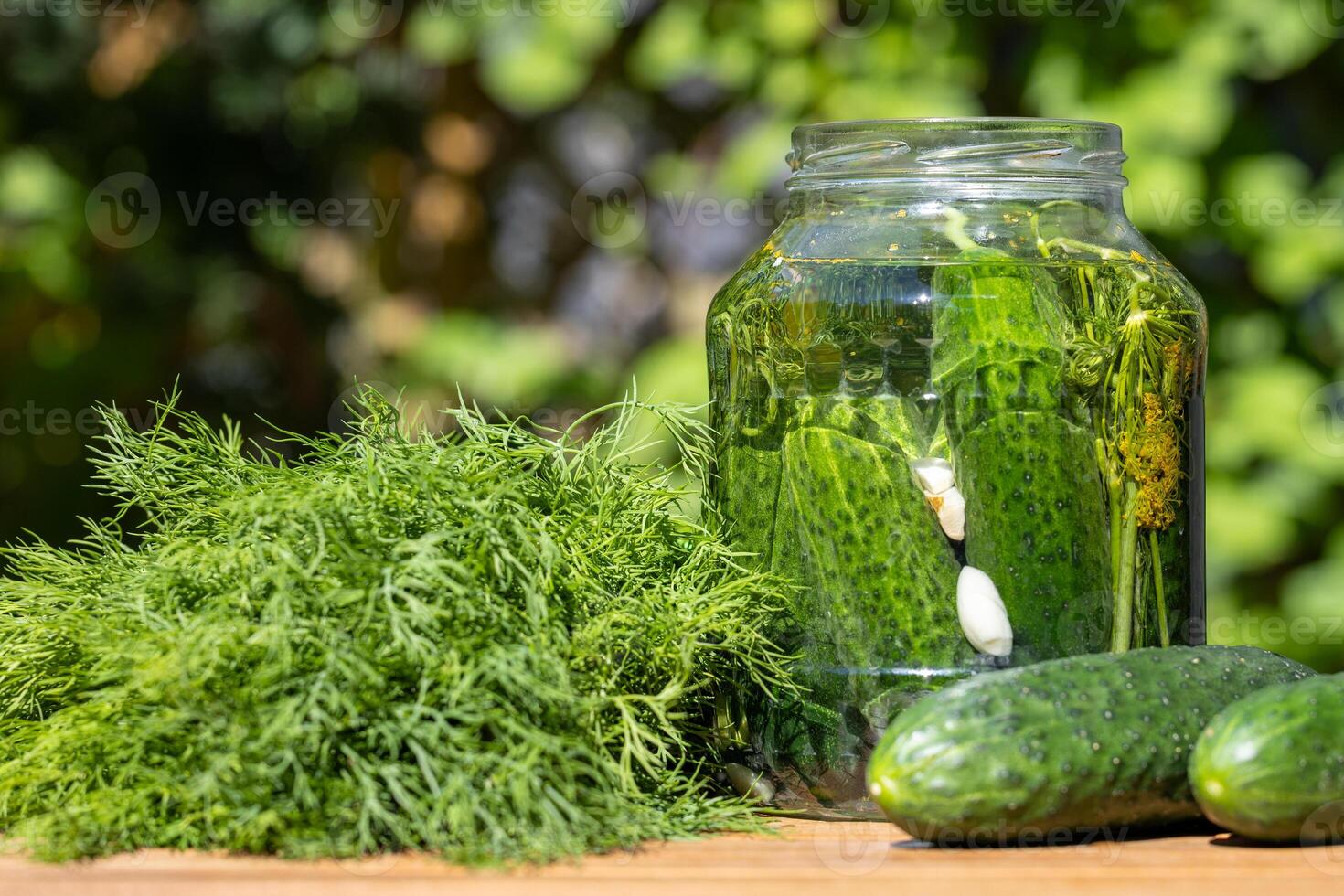 Homemade Pickled Cucumbers Jar With Dill photo